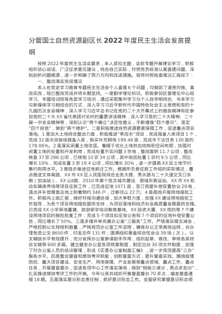 分管国土自然资源副区长2022年度民主生活会发言提纲.doc