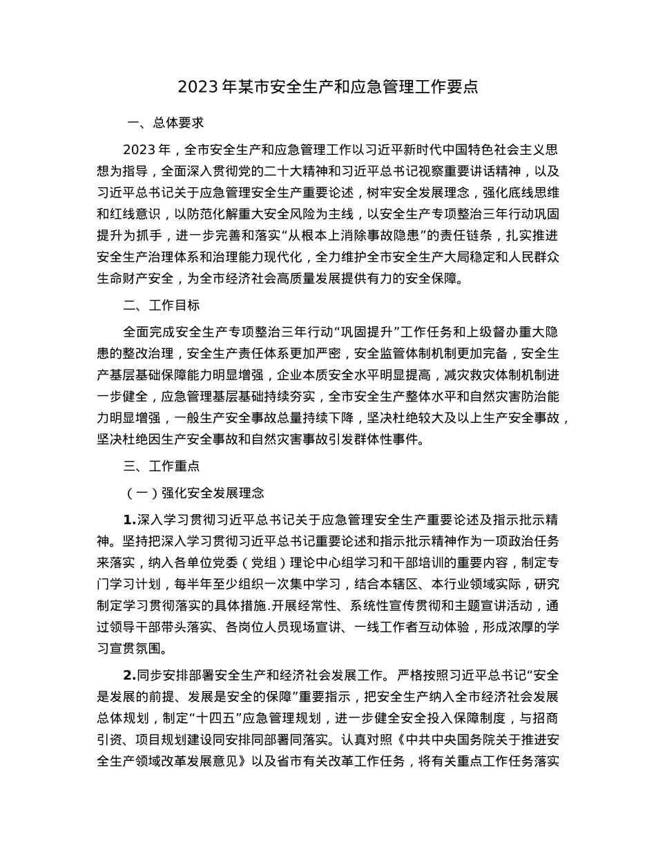 2023年某市安全生产和应急管理工作要点.docx_第1页