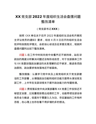 XX党支部2022年度组织生活会查摆问题整改清单（党支部书记）.docx