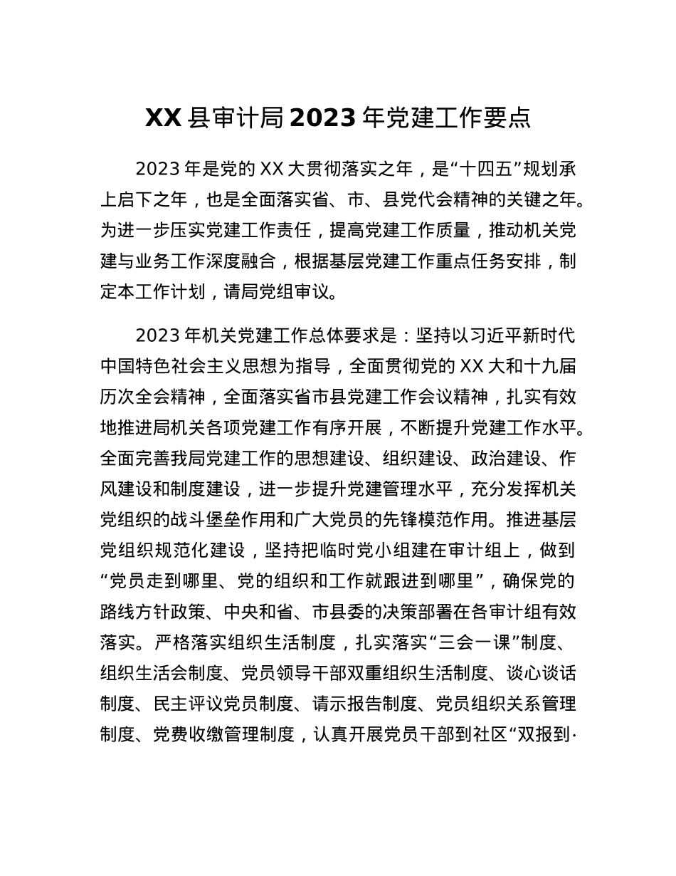 XX县审计局 2023年党建工作要点.docx_第1页