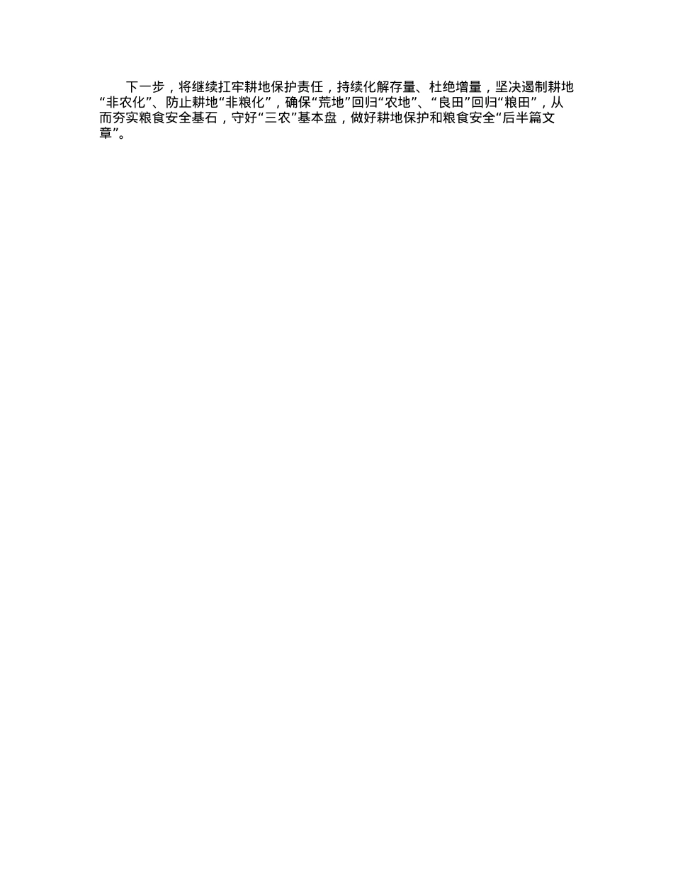 经验交流发言：扛牢耕地保护之责夯实粮食安全基石.docx_第2页