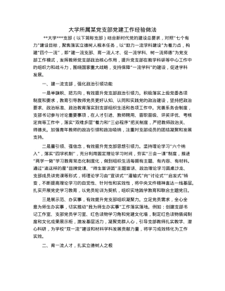 大学所属某党支部党建工作经验做法.docx