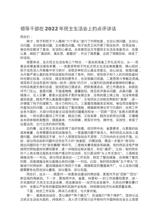 领导干部在2022年民主生活会上的点评讲话.doc