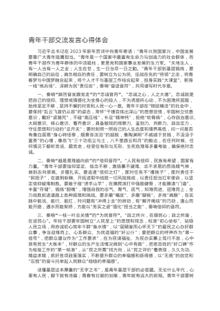 青年干部交流发言心得体会.doc