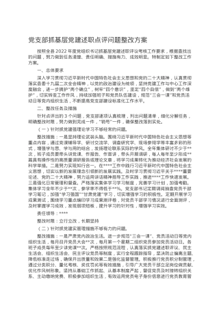 党支部抓基层党建述职点评问题整改方案.doc