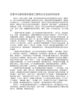 区委书记参加某街道党工委民主生活会时的发言.doc