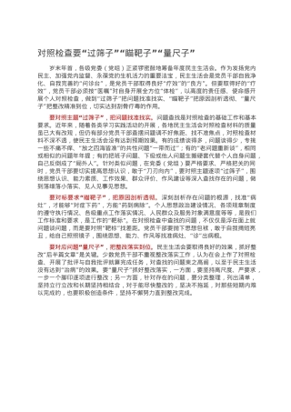 对照检查要“过筛子”“瞄靶子”“量尺子”.doc