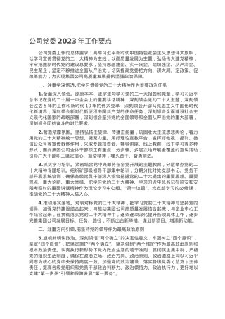 公司党委2023年工作要点.doc