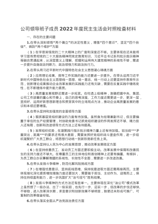 公司领导班子成员2022年度民主生活会对照检查材料.doc