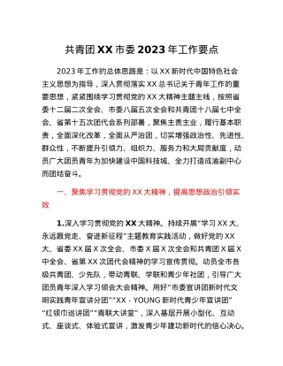 共青团XX市委2023年工作要点.docx