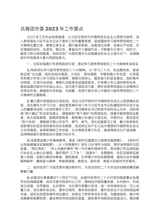 共青团市委2023年工作要点.doc