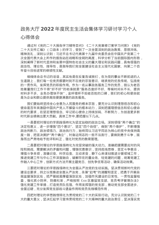 政务大厅2022年度民主生活会集体学习研讨学习个人心得体会.doc