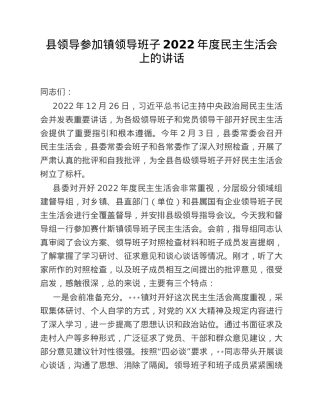 县领导参加镇领导班子2022年度民主生活会上的讲话.doc