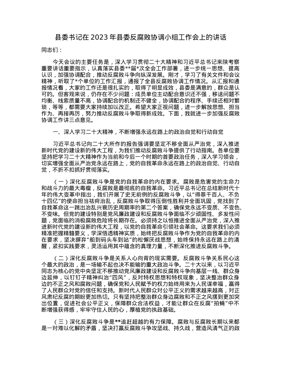 县委书记在2023年县委反腐败协调小组工作会上的讲话.docx_第1页