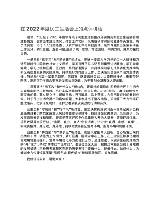 在2022年度民主生活会上的点评讲话.doc