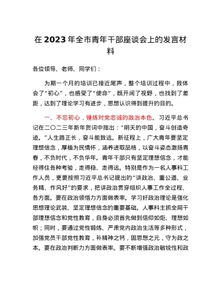 在2023年全市青年干部座谈会上的发言材料.docx