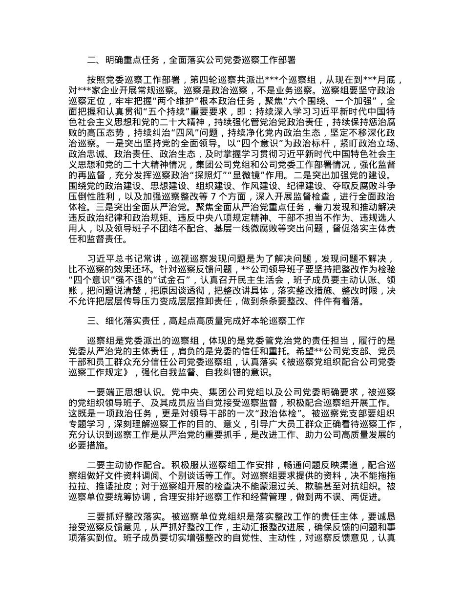 在国企巡察动员会上的讲话.docx_第2页