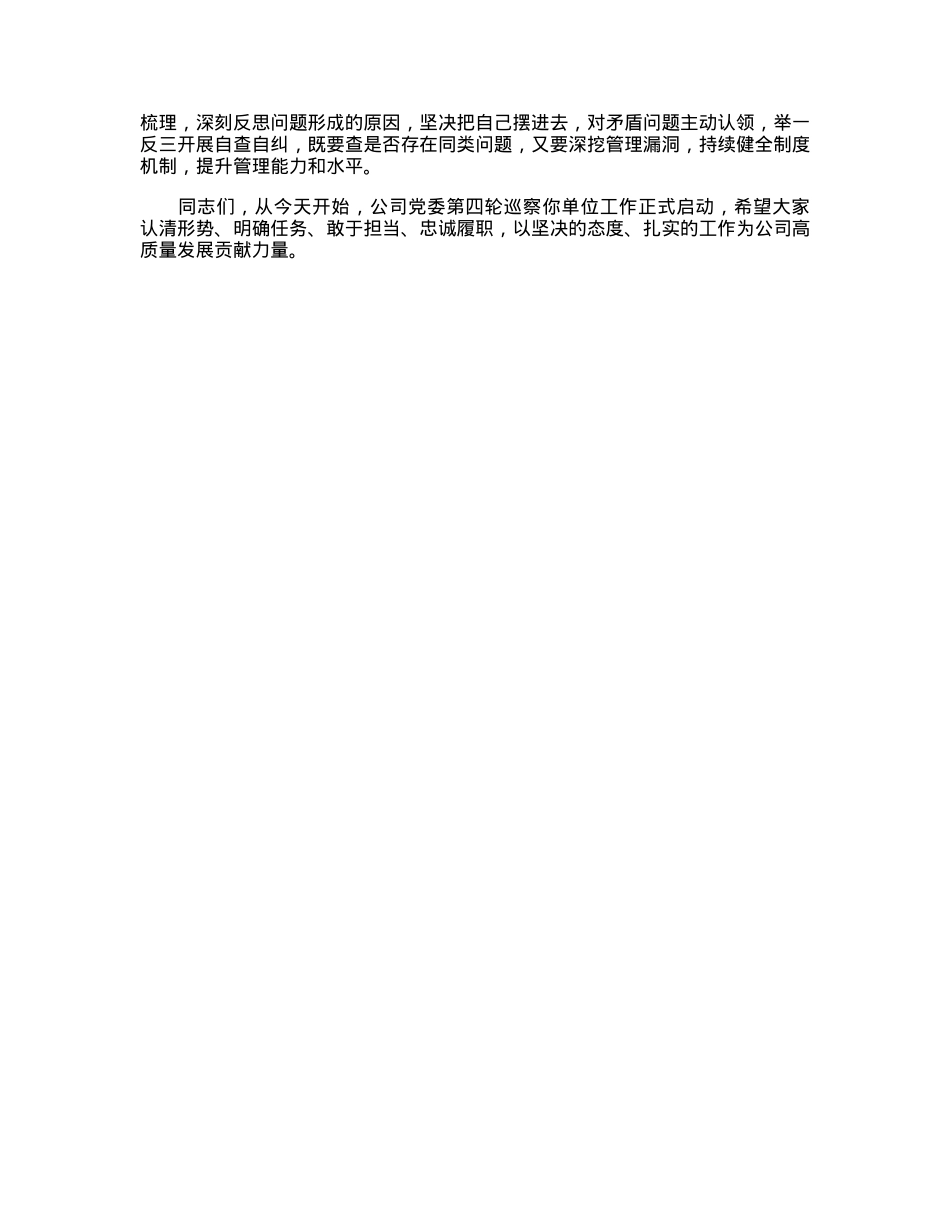 在国企巡察动员会上的讲话.docx_第3页