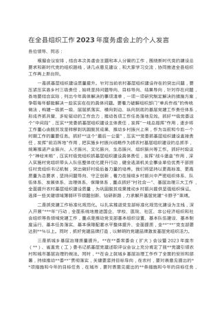 在全县组织工作2023年度务虚会上的个人发言.docx