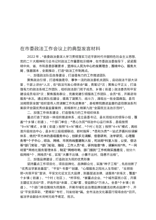 在市委政法工作会议上的典型发言材料.docx