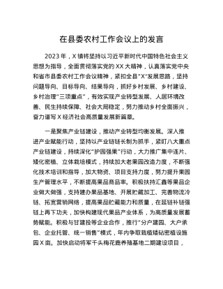 在县委农村工作会议上的发言 (2).docx