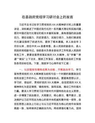在县政府党组学习研讨会上的发言.docx