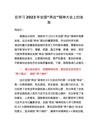 在学习2023年全国两会精神大会上的发言.docx
