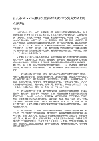 在支部2022年度组织生活会和组织评议党员大会上的点评讲话.doc