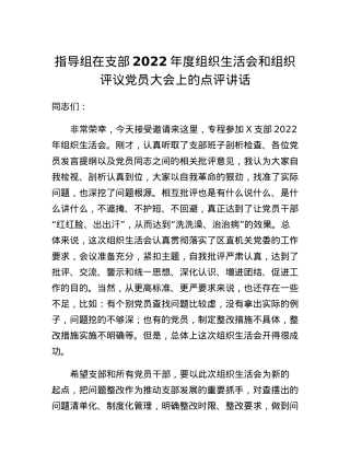 指导组在支部2022年度组织生活会和组织评议党员大会上的点评讲话.docx