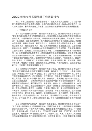 2022年党支部书记党建工作述职报告.doc