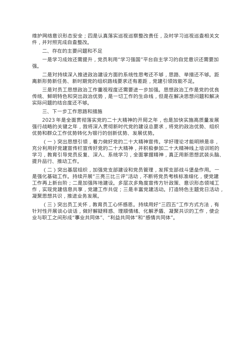 2022年度党组织书记抓党建工作述职报告.doc_第2页