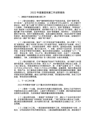 2022年度基层党建工作述职报告.docx