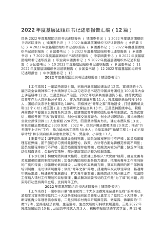 2022年度基层团组织书记述职报告汇编（12篇）.doc