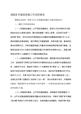 2022年基层党建工作述职报告.doc