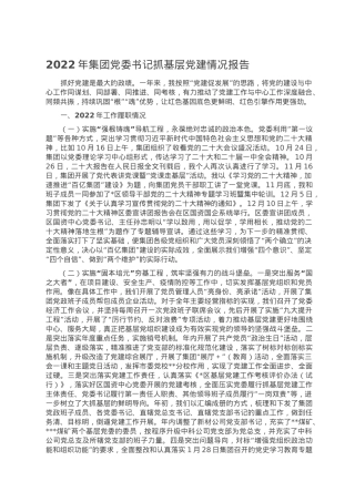 2022年集团党委书记抓基层党建情况报告.doc