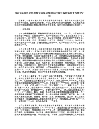 2023年区巩固拓展脱贫攻坚成果同乡村振兴有效衔接工作情况汇报.docx