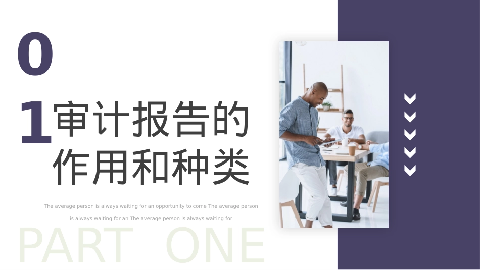 审计报告PPT.pptx_第3页