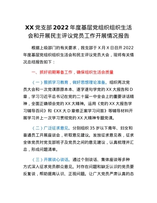 XX党支部2022年度基层党组织组织生活会和开展民主评议党员工作开展情况报告.docx