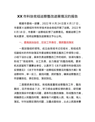 XX市科协党组巡察整改进展情况的报告.docx