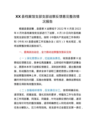 XX县档案馆支部巡察反馈意见整改情况报告.docx