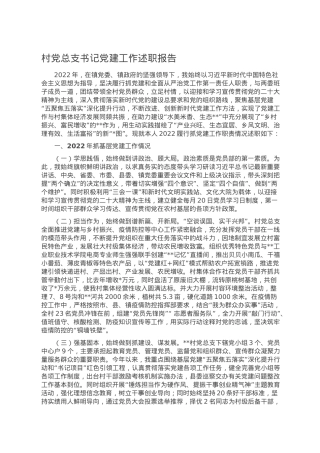 村党总支书记党建工作述职报告.docx