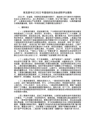 党支部书记2022年度组织生活会述职评议报告.docx