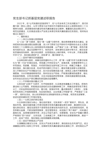 党支部书记抓基层党建述职报告.doc