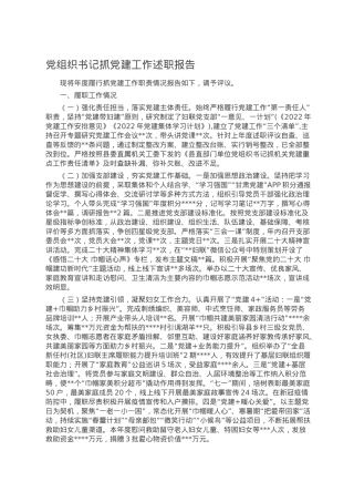 党组织书记抓党建工作述职报告.doc