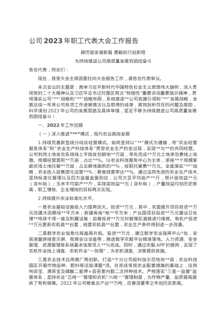 公司2023年职工代表大会工作报告.doc