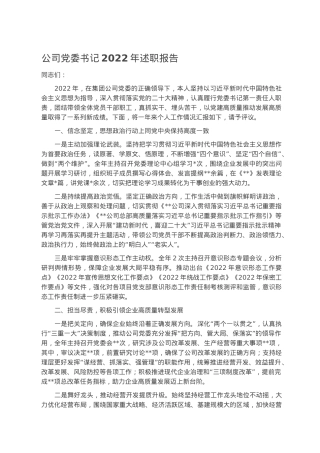 公司党委书记2022年述职报告.docx