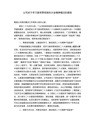 公司关于学习宣传贯彻党的大会精神情况的报告.docx