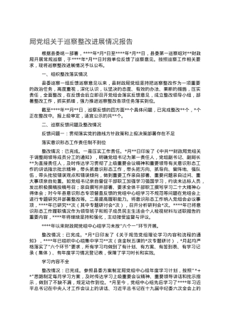 局党组关于巡察整改进展情况报告.doc