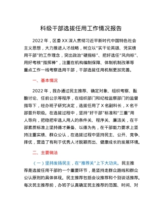 科级干部选拔任用工作情况报告.docx