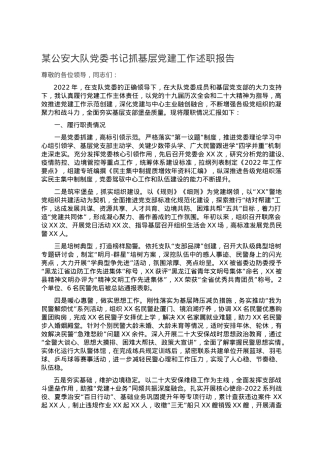 某公安大队党委书记抓基层党建工作述职报告.doc